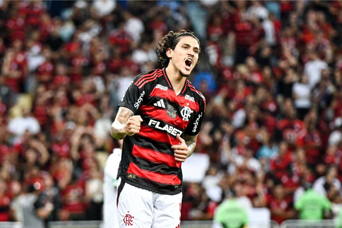 LDU x Flamengo: Pedro tem bons números contra equatorianos; veja odds